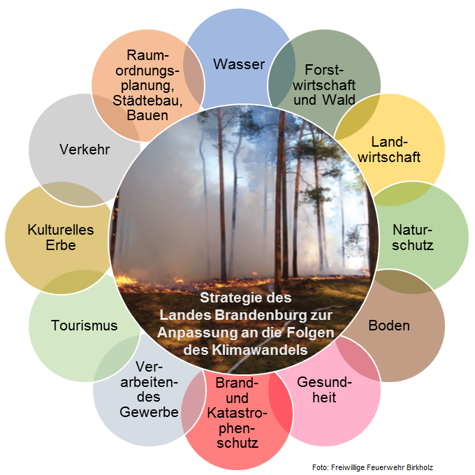 grafische Blume mit den Handlungsfeldern der Klimaanspassungsstrategie
