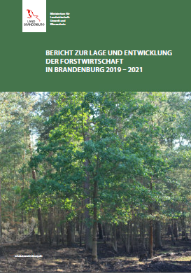 Bild vergrößern (Bild: Bericht zur Lage der Forstwirtschaft)