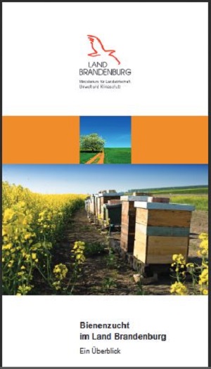 Bild vergrößern (Bild: Titelblatt Broschüre Bienenzucht in Brandenburg - Ein Überblick)