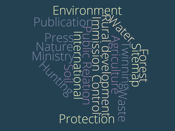 Word cloud with topics of the ministry