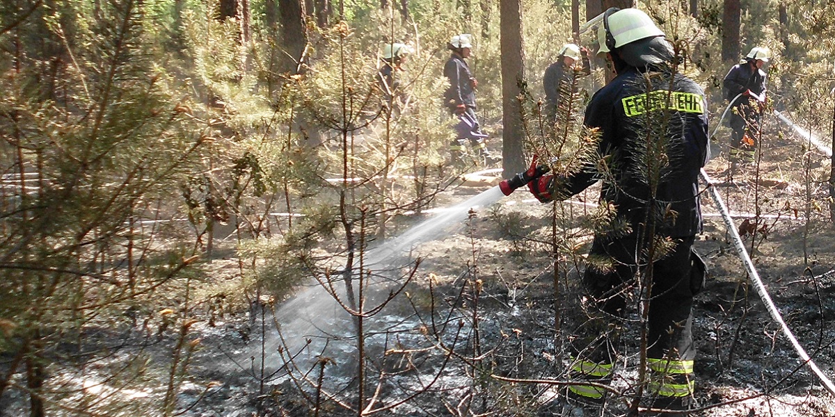 Bild: Feuerwehrleute löschen den Waldbrand bei Zesch im Mai 2016