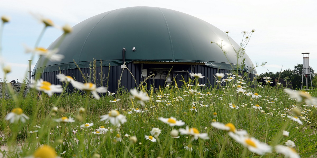 Bild: Brandenburg, Lanke: Eine Biogasanlage von einem Biobauern. Etwa acht Prozent des deutschen Ökostroms kommen aus Biogas.