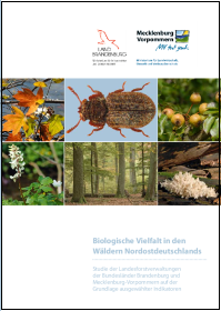 Bild vergrößern (Bild: Biologische Vielfalt in den Wäldern Nordostdeutschlands)