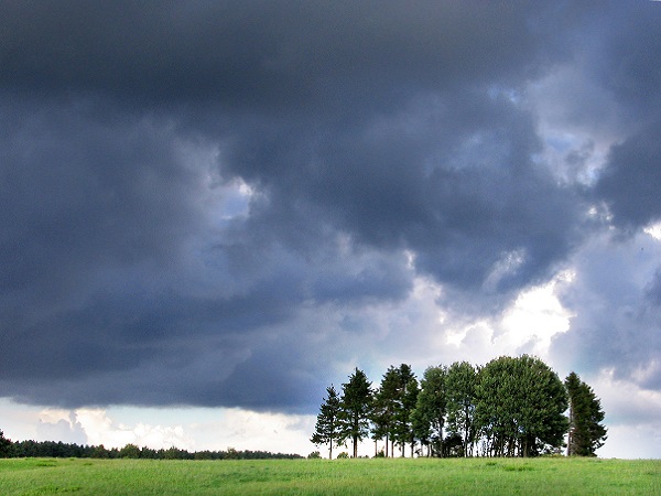 View of a field with a group of trees with a thunderstorm sky
