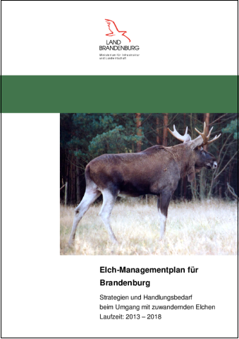 Bild vergrößern (Bild: Titelblatt  Elch-Managementplan_2013)