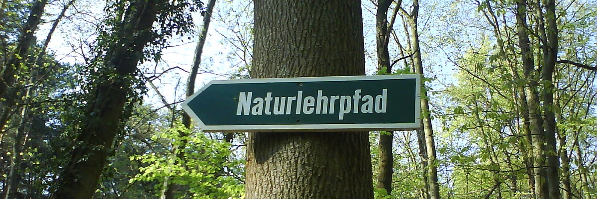 Schild mit der Aufschrift Naturlehrpfad hängt an einem Baum im Wald.