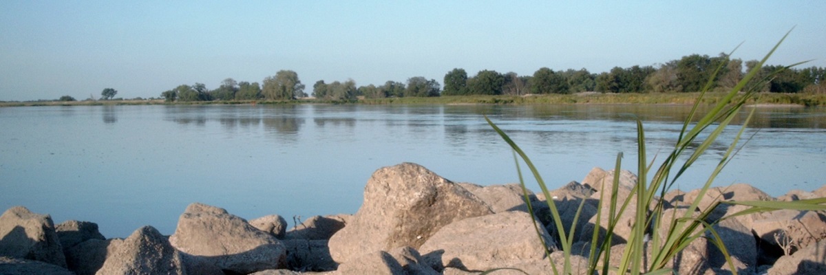Flusslauf der Oder bei Lebus