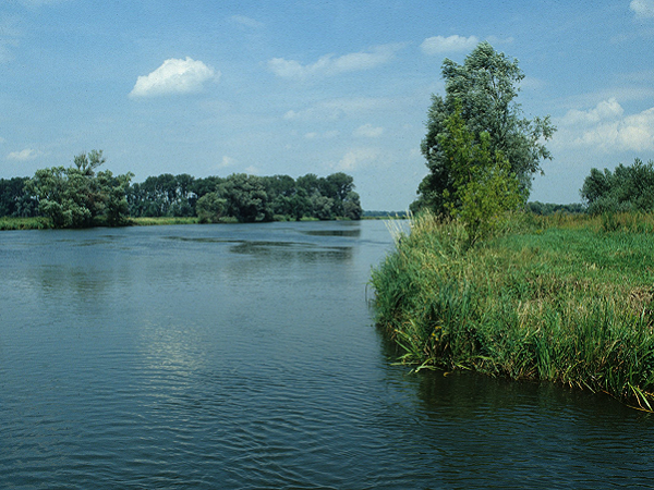 Havelarm bei Strohdehne