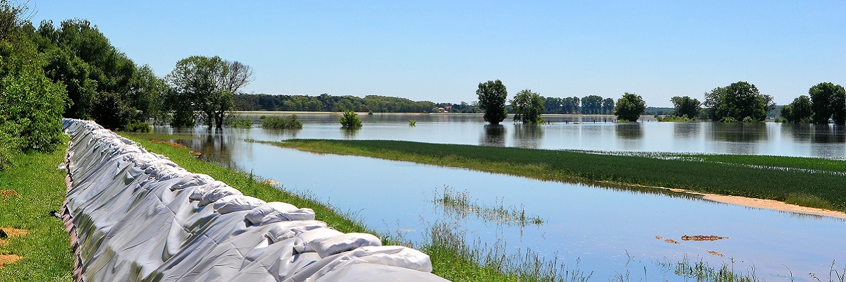 Hochwasser 2013 an der Elbe: Sandsäcke stützen am Elbeufer den Deich