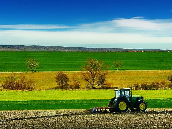 Tractor in The Field