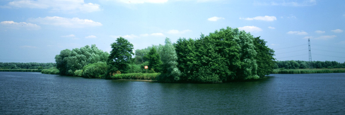 Blick auf die Oder und das gegenüberliegende Ufer im Naturpark Unteres Odertal.