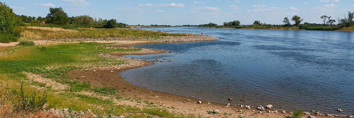 Niedrigwasser der Elbe bei Dömnitz 