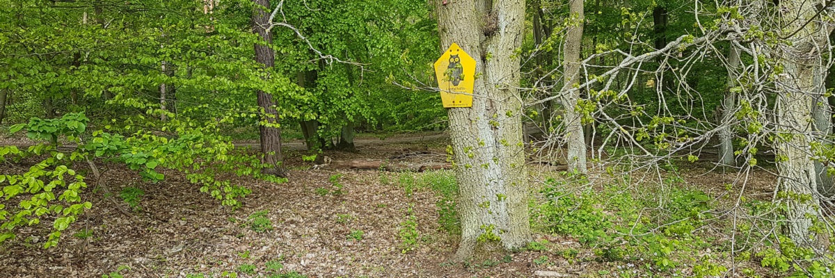 Ein Hinweisschild Landschaftsschutzgebiet Land Brandenburg am Beginn der Ravensberge in Postdam-Waldstadt