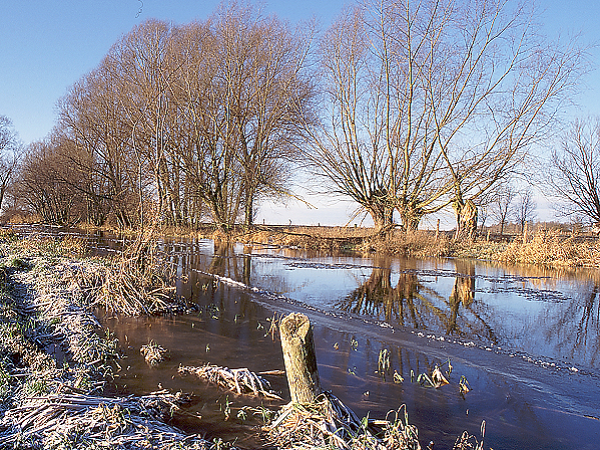 Der Rhin im Winter