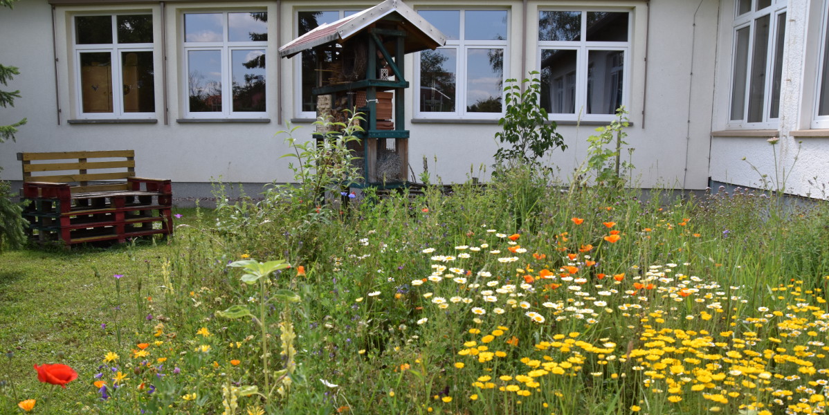 Bild: Eine Blühwiese auf einem Schulhof.