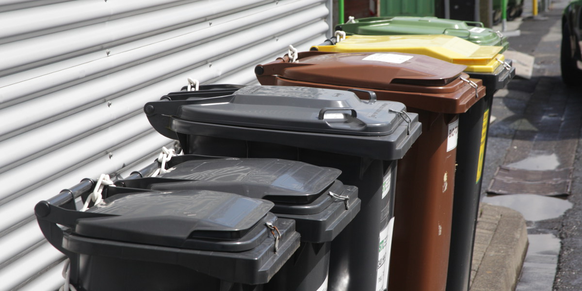 Bild: An einer Hauswand stehen in einer Reihe Abfalltonnen für Hausabfälle, Bioabfälle und Papier