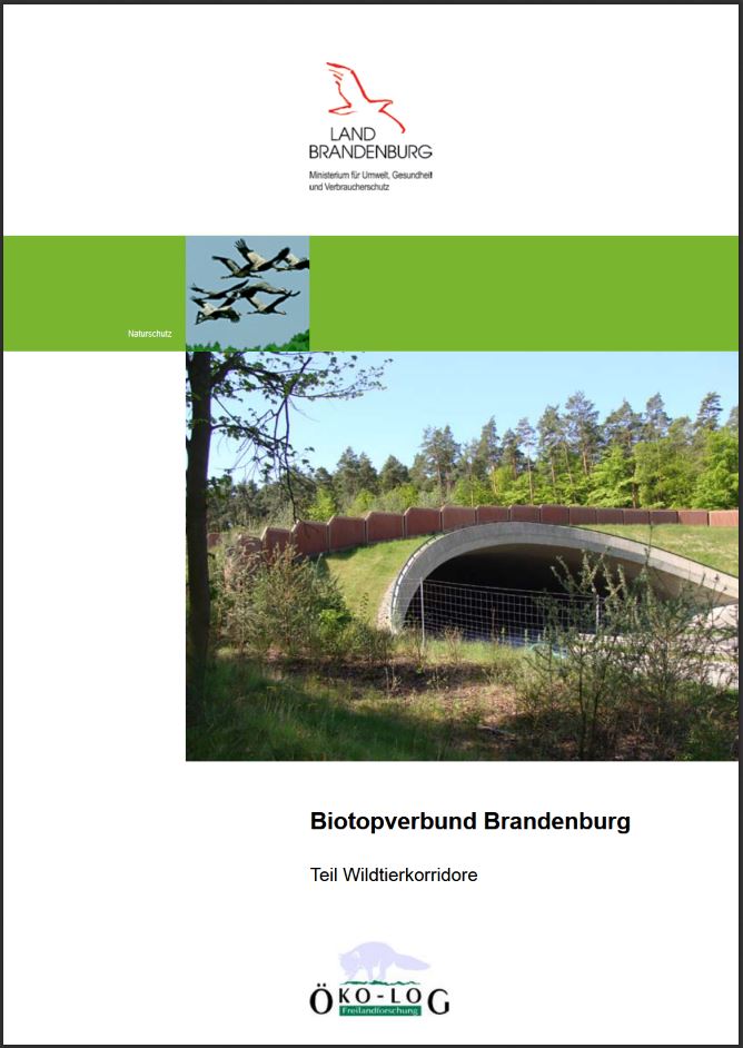 Bild vergrößern (Bild: Biotopverbund Brandenburg - Teil Wildtierkorridore)