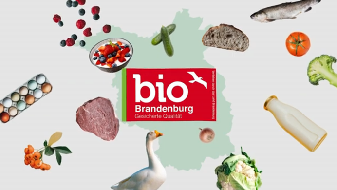Vorschaubild aus dem Erklärfilm zum Thema "Brandenburger Biozeichen".