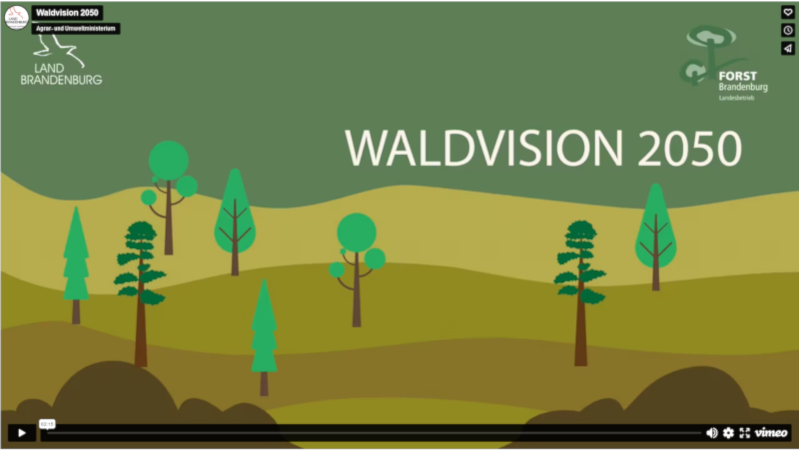 Vorschaubild aus dem Erklärfilm zur Waldvision 2050