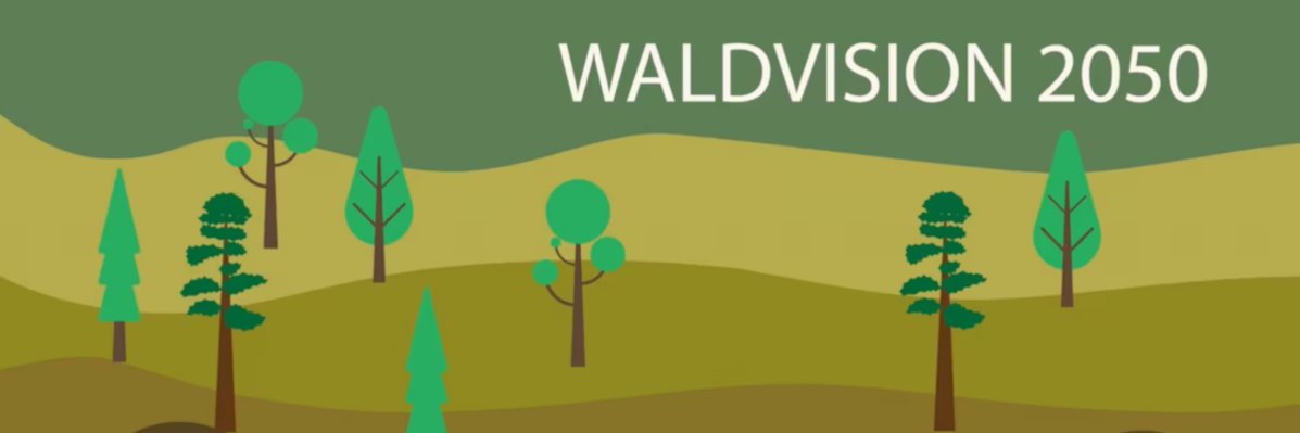 Bildsequenz aus dem Film "Waldvision 2025": Ein comichaft dargestellter Mischwald.