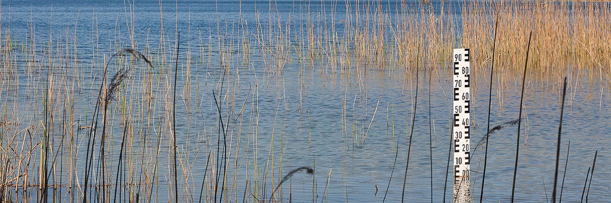 Pegellatte am Ufer eines brandenburgischen Sees (Ausschnitt von Originalfoto)