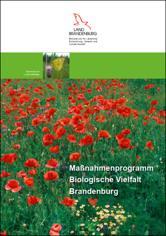 Bild vergrößern (Bild: Maßnahmenprogramm Biologische Vielfalt in Brandenburg)