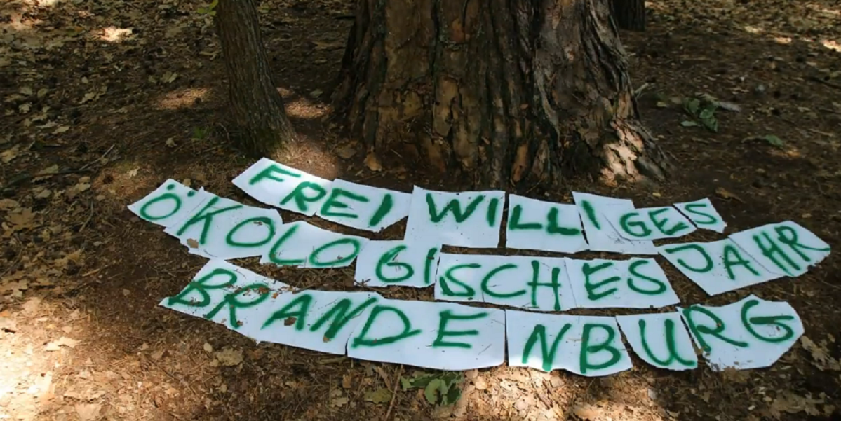 Bild: Auf dem Waldboden ist auf weißen Blättern mit grüner Schrift der Schriftzug "Freiwilliges Ökologisches Jahr Brandenburg" im Halbkreis vor einem Baum gelegt. (Sceen aus Video 'Freiwilliges Ökologisches Jahr - Brandenburg' der WiTJA FiLMPRODUKTiON - Bild aus Minute 1:17)
