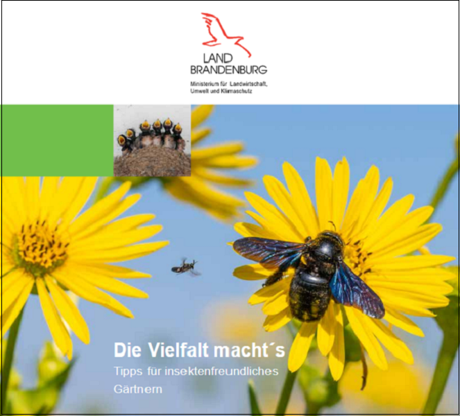 Titelblatt der Broschüre Die Vielfalt macht´s Tipps für insektenfreundliches Gärtnern 