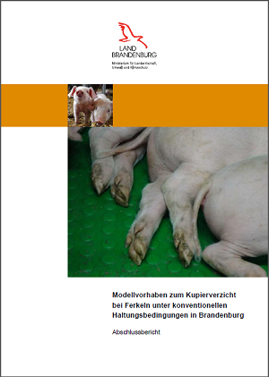 Titelblatt Bericht Modellvorhaben Kupierverzicht