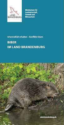 Bild vergrößern (Bild: Deckblatt Broschüre "Biber im Land Brandenburg" Oben Titel, unten ein Biber am Uferrand)
