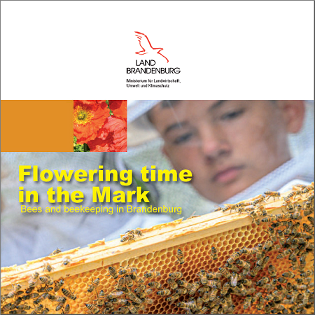 Enlarge image (Image: Cover Flowering time in the Mark - Bees an beekeeping in Brandenburg)