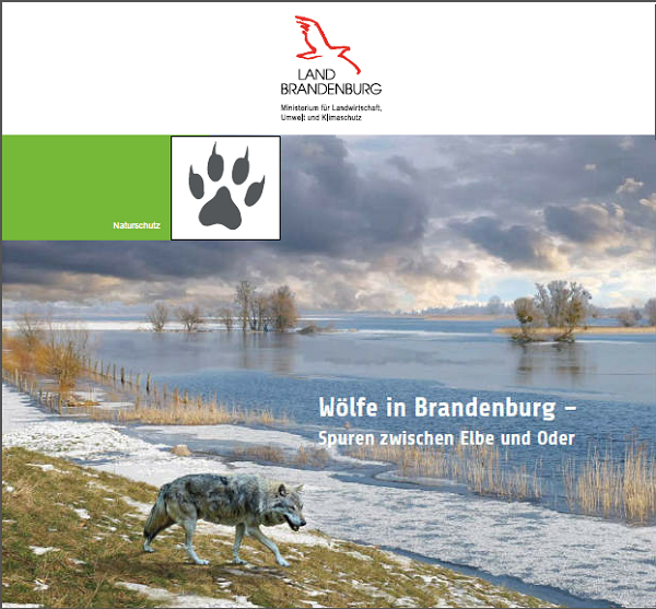 Titelblatt der Broschüre Wölfe in Brandenburg, Ausgabe 2021