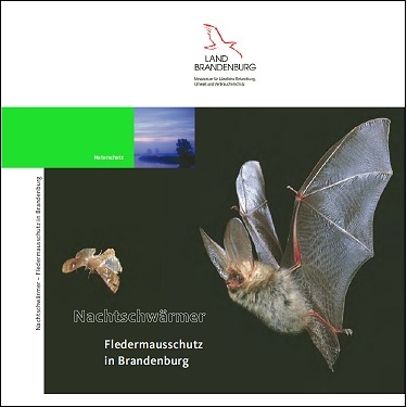 Bild vergrößern (Bild: Titelblatt Nachtschwärmer - Fledermausschutz in Brandenburg)