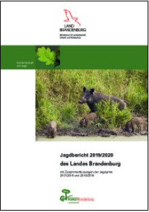 Bild vergrößern (Bild: Titelblatt Jagdbericht 2019-2020)