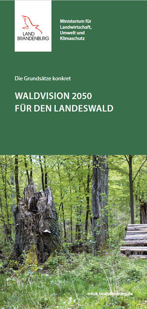 Bild vergrößern (Bild: Titelblatt Flyer Waldvision 2050 für den Landeswald - Grundsätze)
