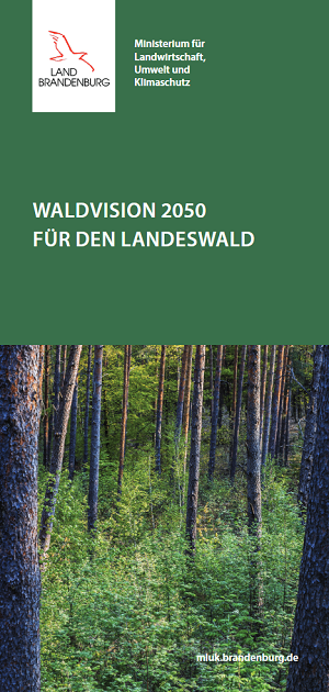 Bild vergrößern (Bild: Waldvision 2050 für den Landeswald)