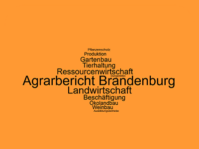 Wortwolke mit Begriffen: Agrarbericht, Produktion, Ressourcenwirtschaft, Landwirtschaft ... auf orangenem Hintergrund
