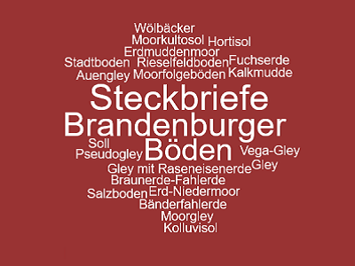 Wortwolke mit Begriffen: Steckbriefe Brandenburger Böden, Auen-Gley, Gley, Podsol, Pseudogley, Stadtboden, Kalkmudde und anderen