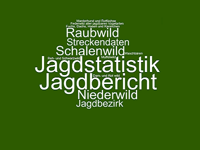 Wortwolke Jagd mit den Begriffen: Jagdstatistik, Jagdbericht, Raubwild, Streckendaten, Schalenwild, Niederwild, Jagbezirk