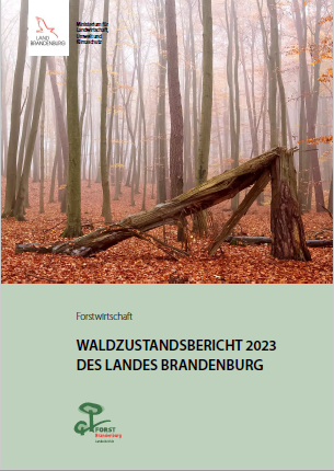 Bild vergrößern (Bild: Titelblatt Waldzustandsbericht 2023)